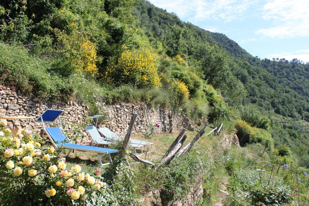 Vignai Rural House 빌라 외부 사진