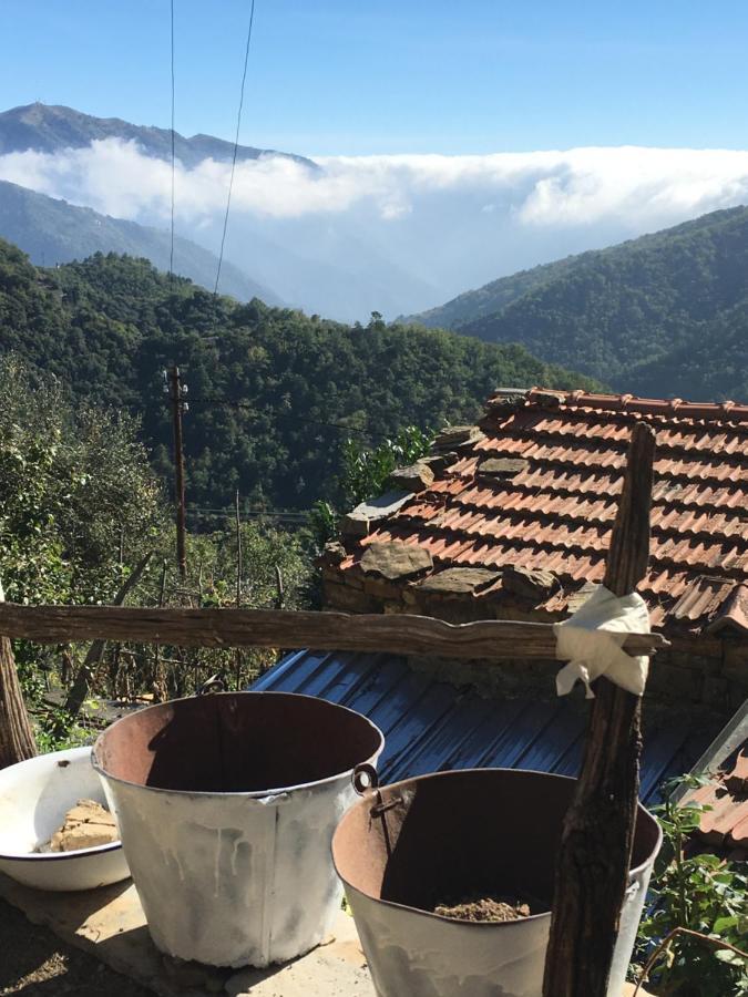 Vignai Rural House 빌라 외부 사진